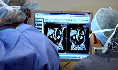 Course cover image for HarvardX: Improving Global Health: Focusing on Quality and Safety