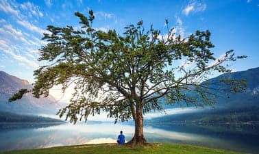 Course cover image for WisconsinX: Earth Principles; The Web of Life